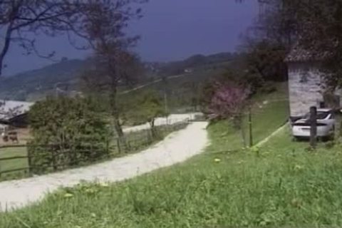 Trans Brasiliana Si Fa Inculare Nel Giardino