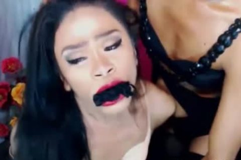 A shelady Who Adores bdsm On webcam
