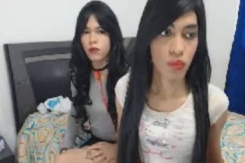 Two yummy shemale suck And nail