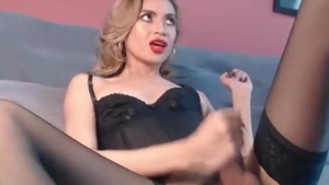 slim Colombian tgirl In dark lingerie And stockings Tugs Her large cock