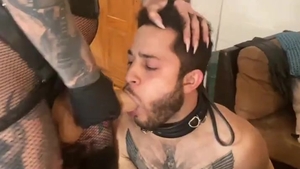 female-dominator, Transexual, And bondman