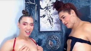 ladyboy couple enjoyment Each Other schlongs